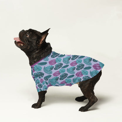 Aggy - Wool Sweater for Frenchies