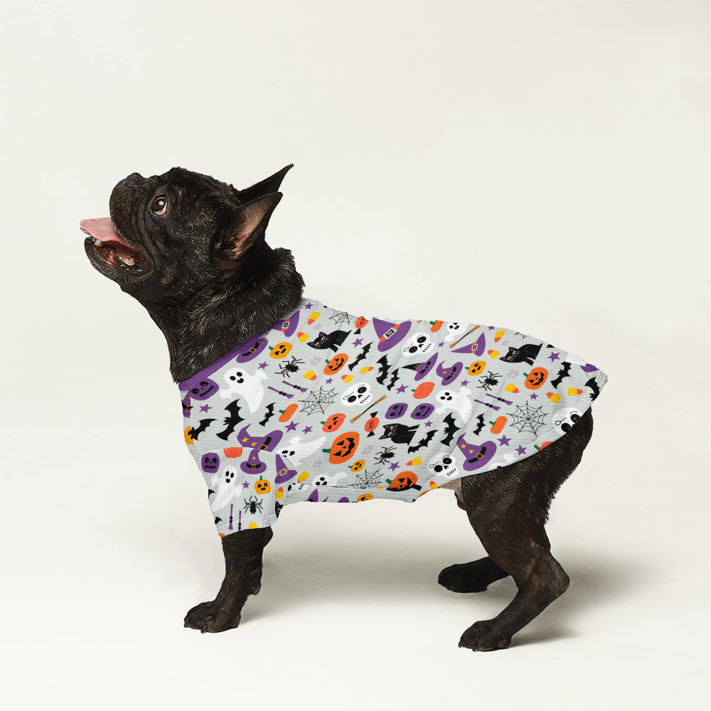 Jackie - Wool Sweater for Frenchies