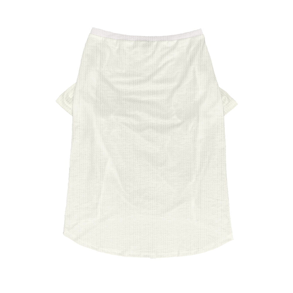 Jawa - Wool Sweater for Frenchies