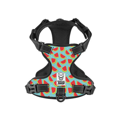 Louis -  No-Pull French Bulldog Dog Harness