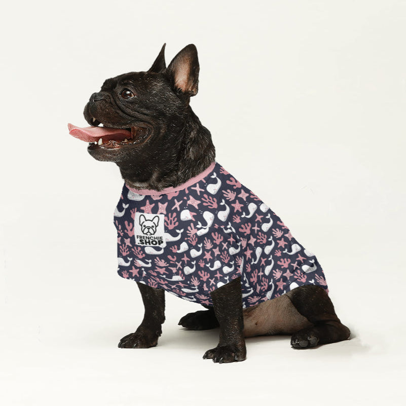 Covi - Wool Sweater for Frenchies