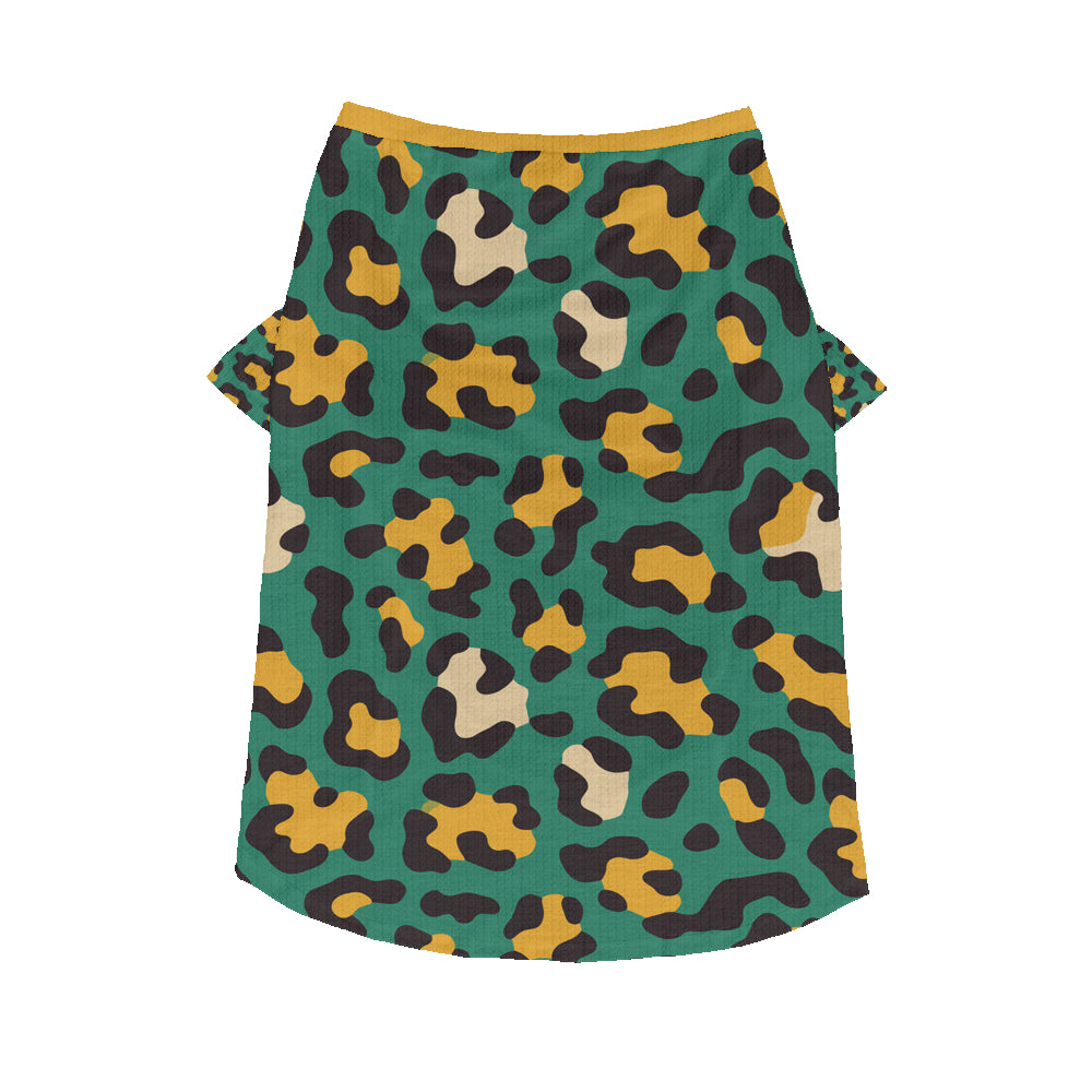 Ezra - Wool Sweater for Frenchies