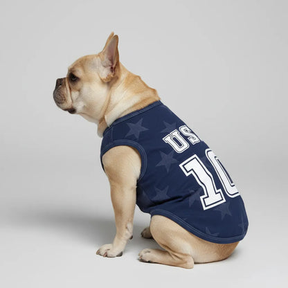 Personalized usa away - jerseys for Frenchies