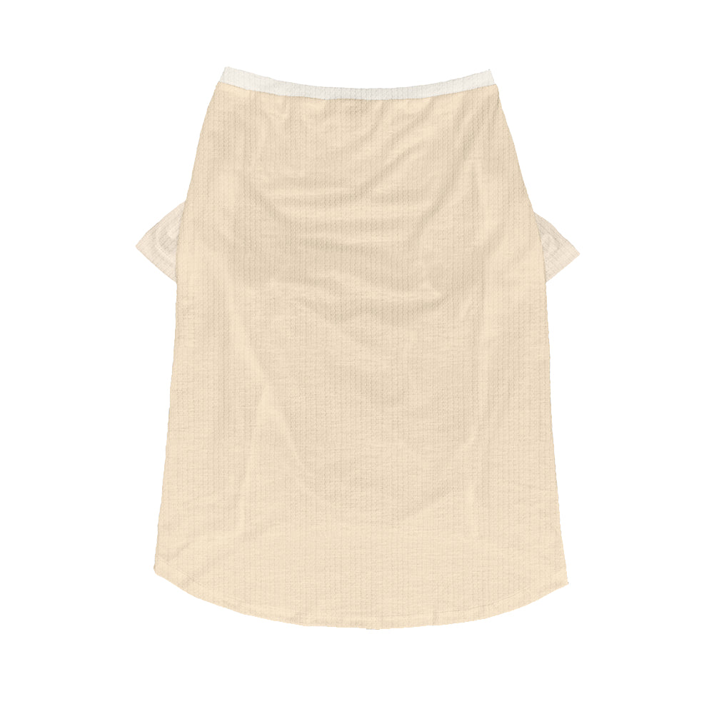 Jude - Wool Sweater for Frenchies