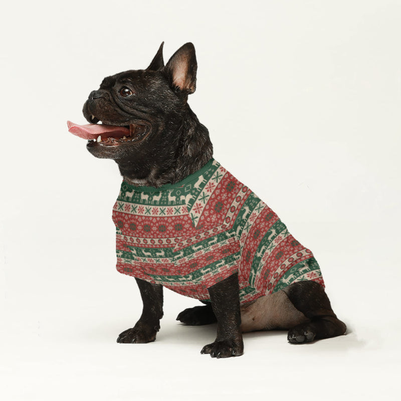 Cleo - Wool Sweater for Frenchies - Ugly Christmas Sweater