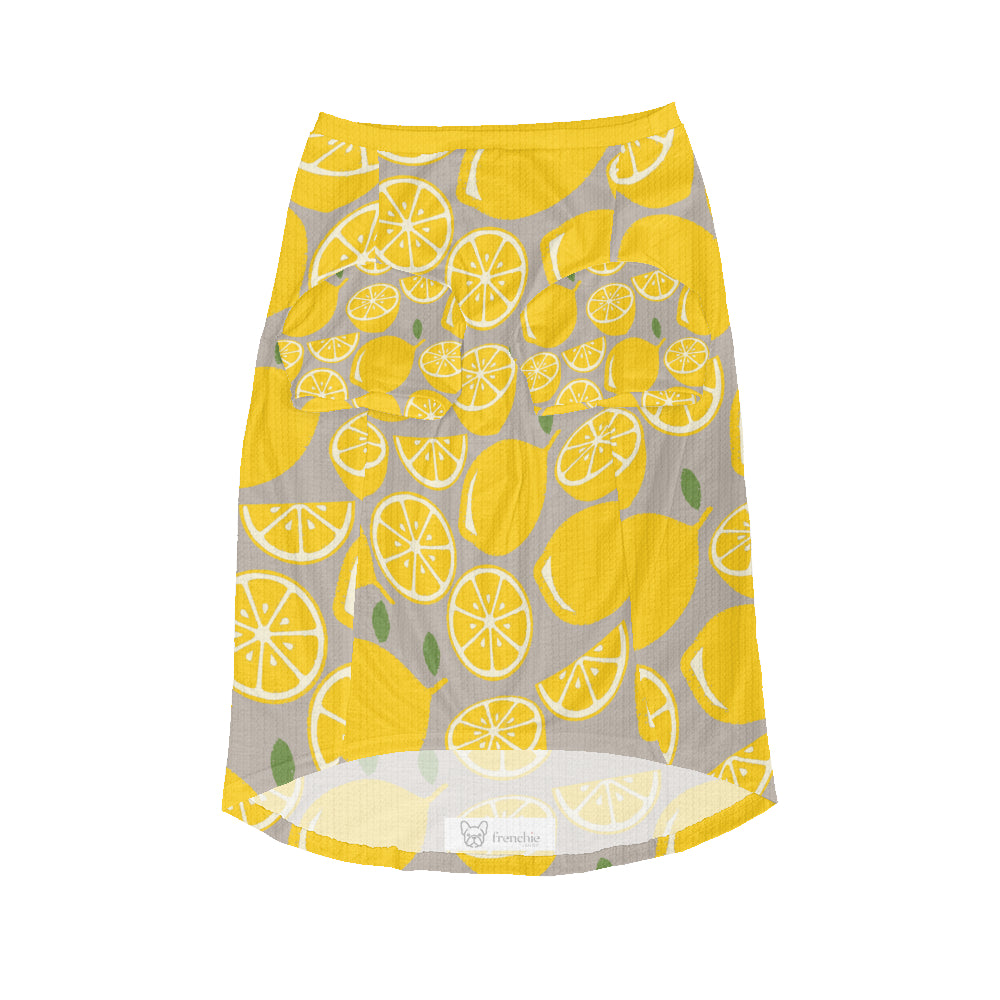 Luca - Wool Sweater for Frenchies