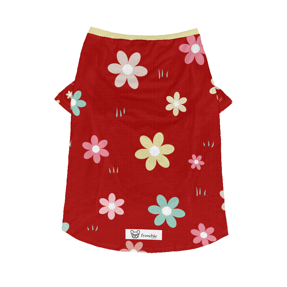 Como - Wool Sweater for Frenchies