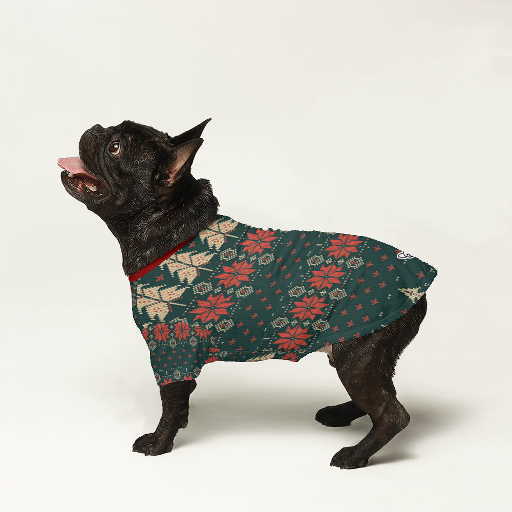 Daisy - Wool Sweater for Frenchies - Ugly Christmas Sweater