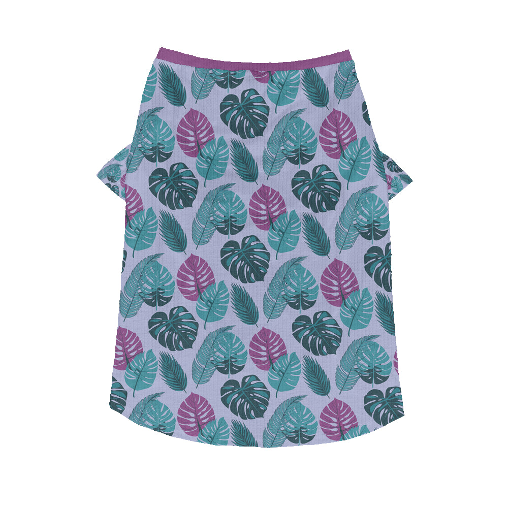 Aggy - Wool Sweater for Frenchies