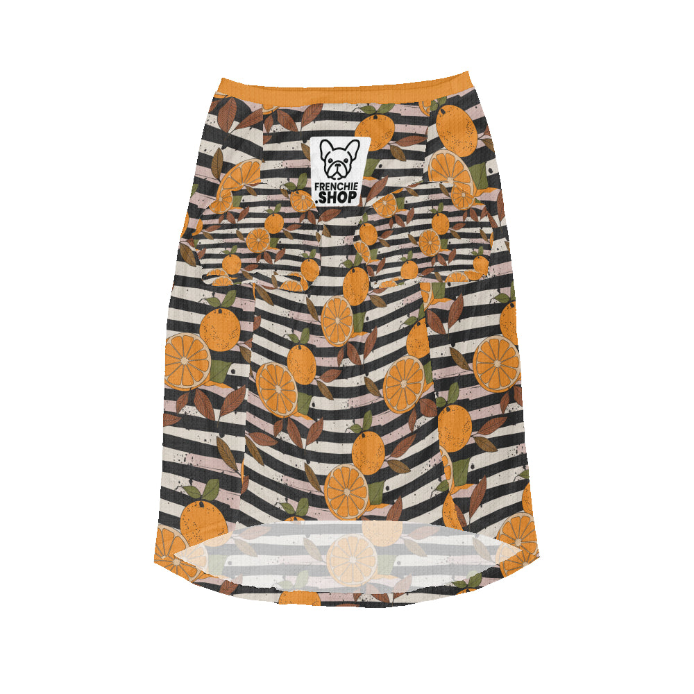 Marco - Wool Sweater for Frenchies