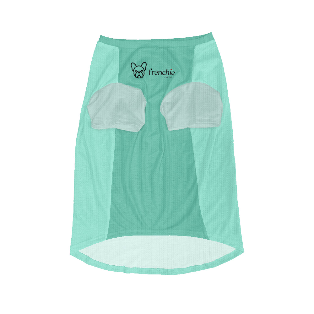 Asher - Wool Sweater for Frenchies