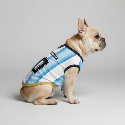 Personalized argentina home - jerseys for Frenchies