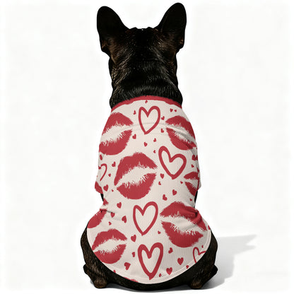 Boone - Wool Sweater for Frenchies