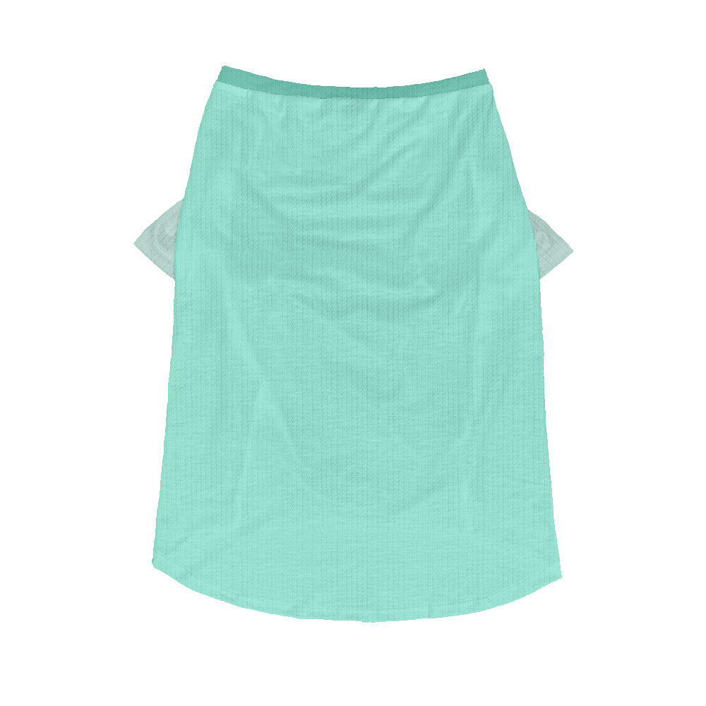 Asher - Wool Sweater for Frenchies