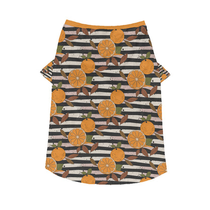 Marco - Wool Sweater for Frenchies