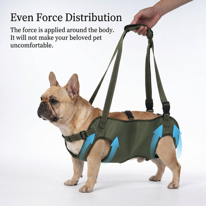 Adjustable-French-bulldog-Mobility-Harness.jpg