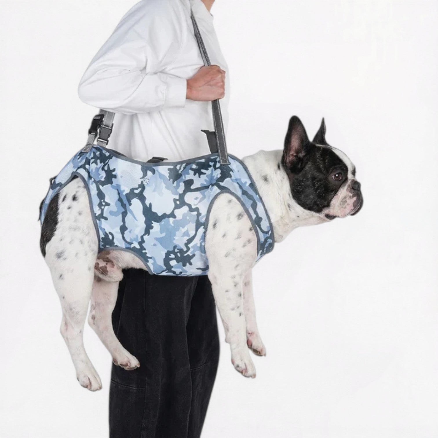 Adjustable-French-bulldog-Mobility-Harness.jpg