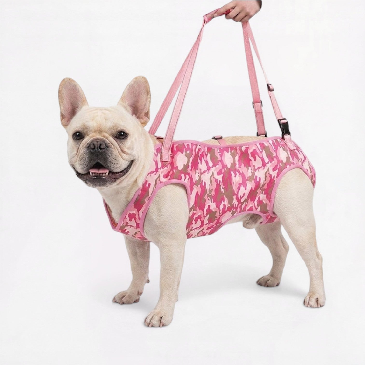 Adjustable-French-bulldog-Mobility-Harness.jpg