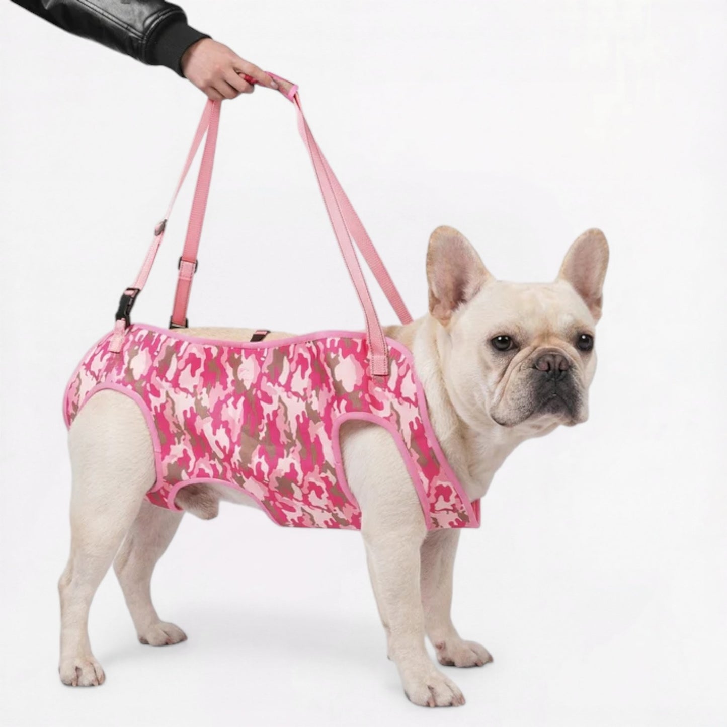Adjustable-French-bulldog-Mobility-Harness.jpg