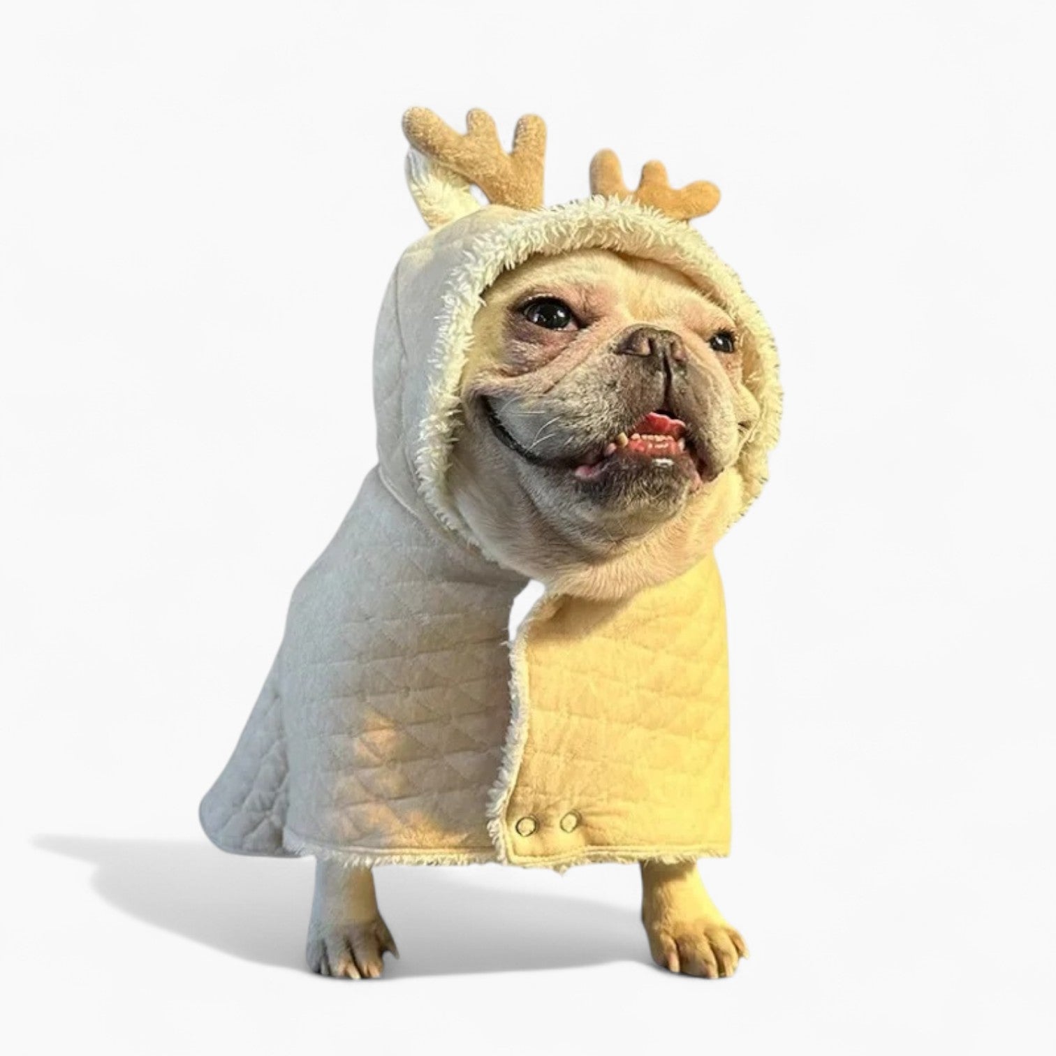 AntleRuff-French-Bulldog-Reindeer-Costume.jpg
