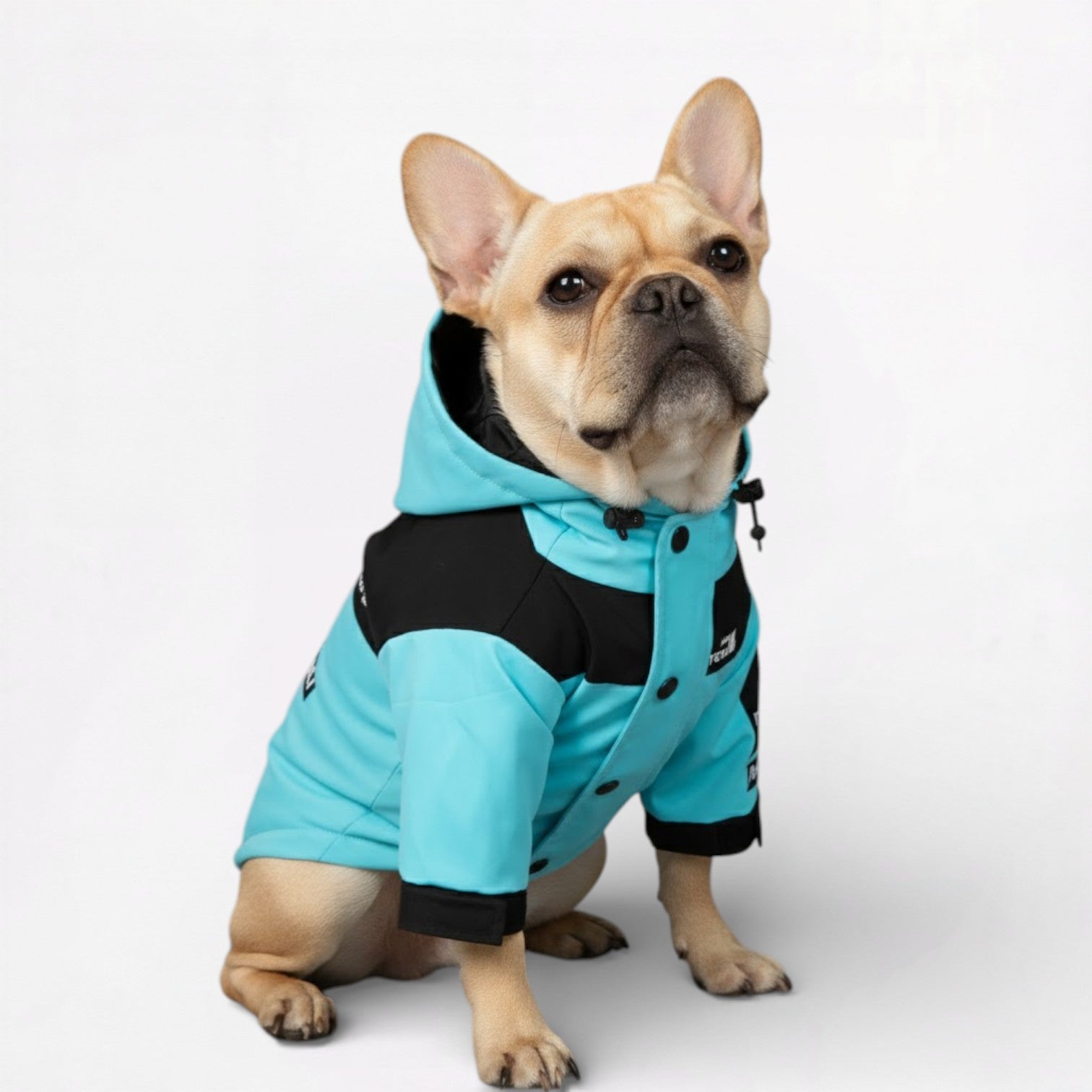 AquaPaw-French-Bulldog-Raincoat.jpg