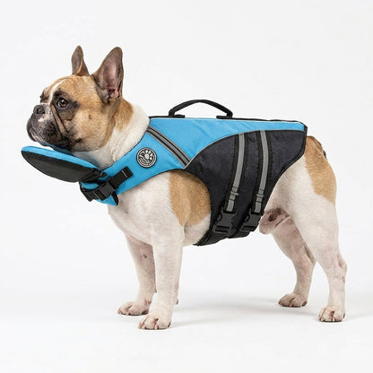 AquaRes-French-Bulldog-Life-Jacket.jpg