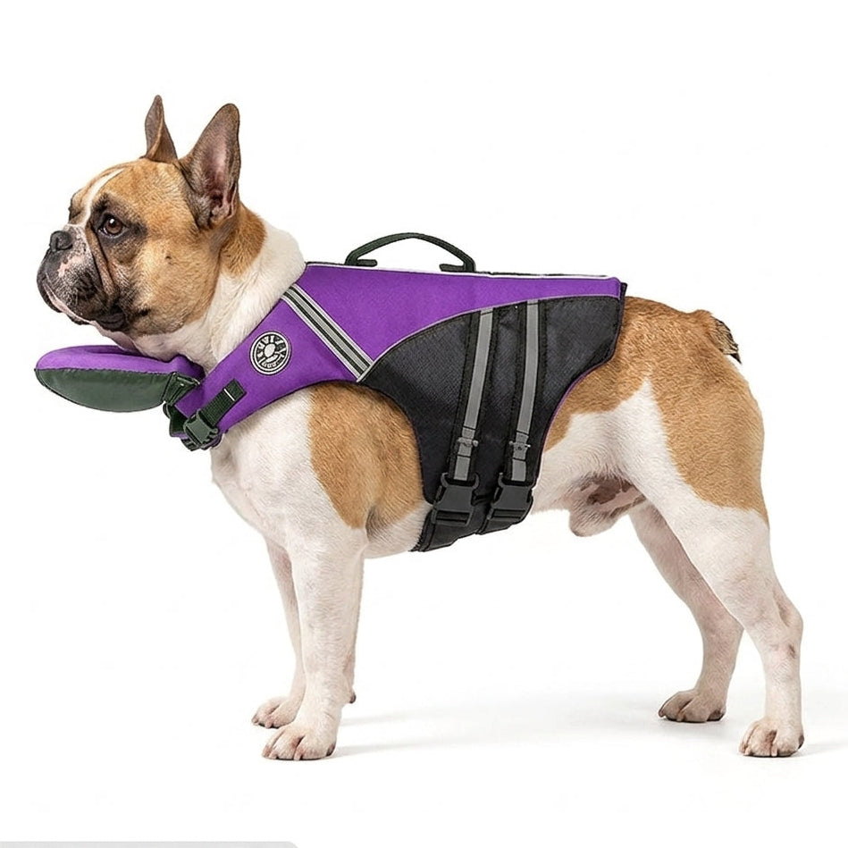 AquaRes-French-Bulldog-Life-Jacket.jpg