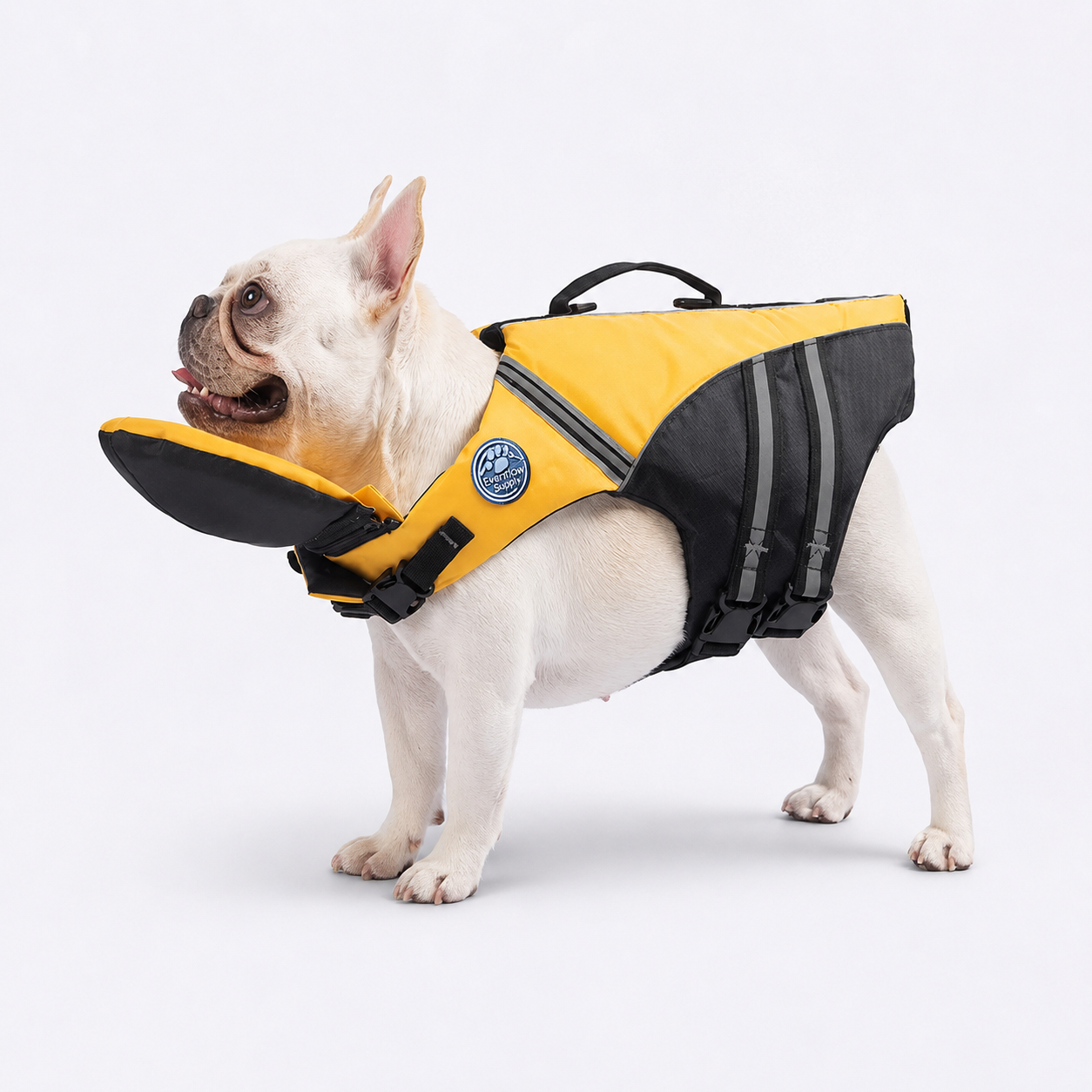 AquaRes-French-Bulldog-Life-Jacket.jpg