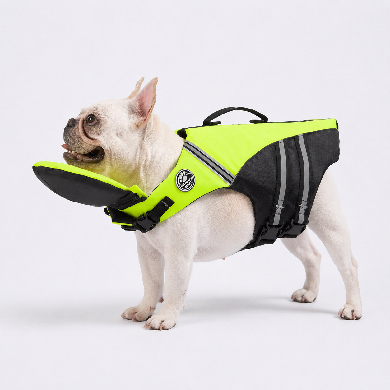 AquaRes-French-Bulldog-Life-Jacket.jpg