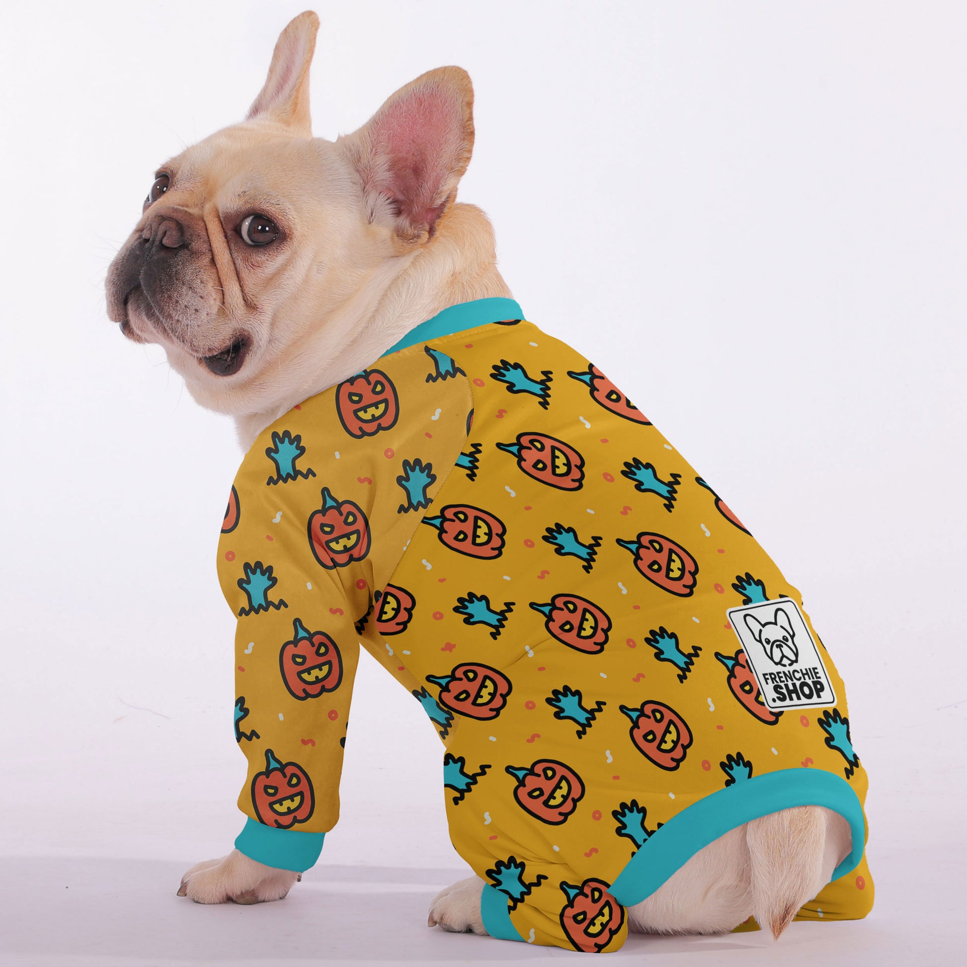 Archie Frenchie dog pajamas