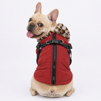ArcticPaw-French-Bulldog-Winter-Jacket.jpg