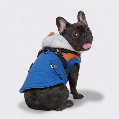 ArcticPaw-French-Bulldog-Winter-Jacket.jpg