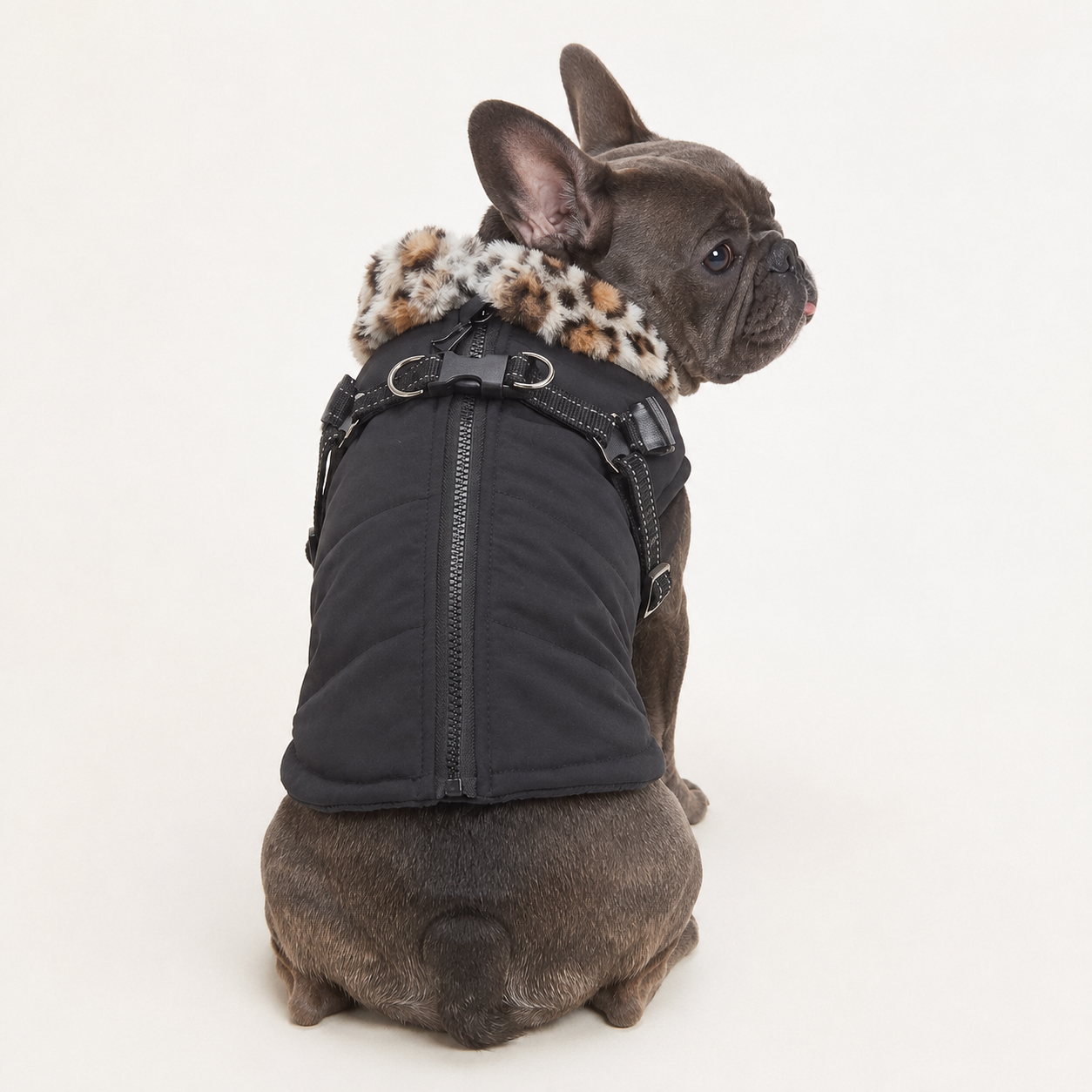 ArcticPaw-French-Bulldog-Winter-Jacket.jpg