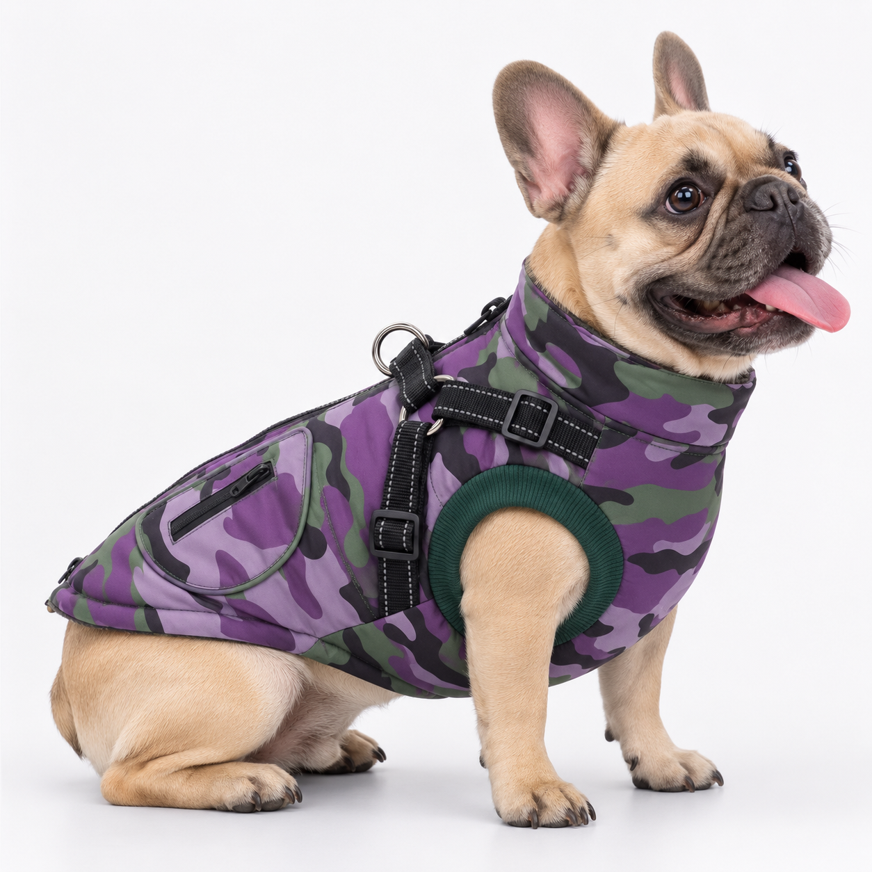 ArcticPaw-French-Bulldog-Winter-Jacket.jpg