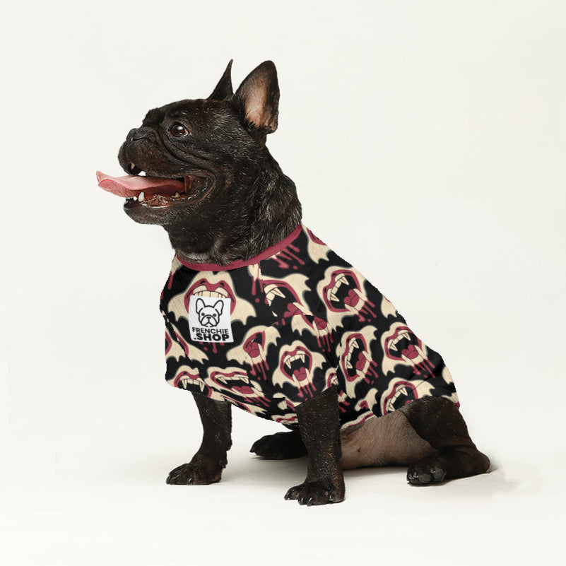 Ari - Wool Sweater for Frenchies
