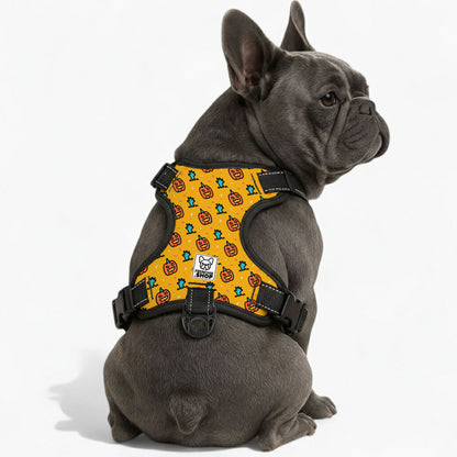 Aster No-Pull frenchie Dog Harness
