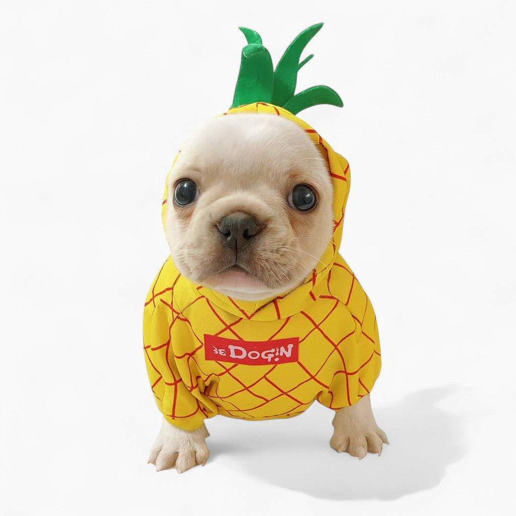 Barkana-Frenchie-Fruit-Costume.jpg