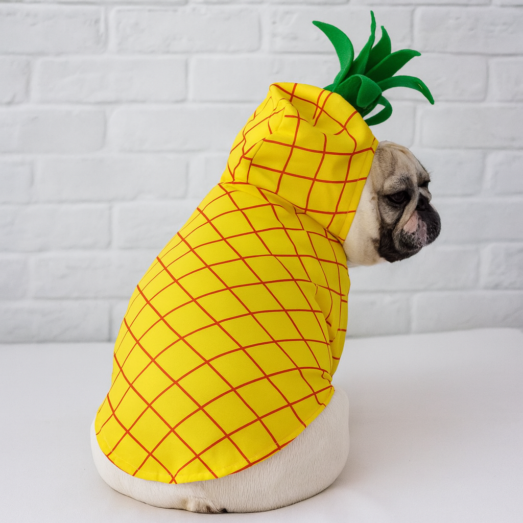 Barkana-Frenchie-Fruit-Costume.jpg