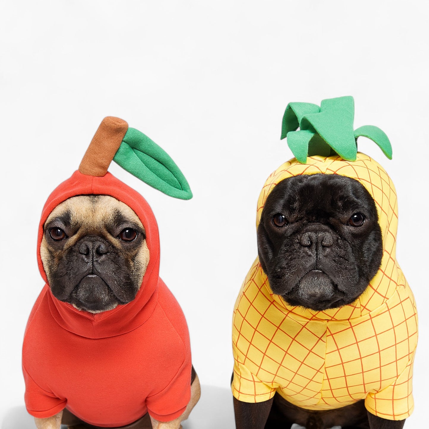 Barkana-Frenchie-Fruit-Costume.jpg