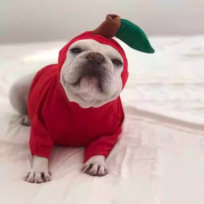 Barkana-Frenchie-Fruit-Costume.jpg