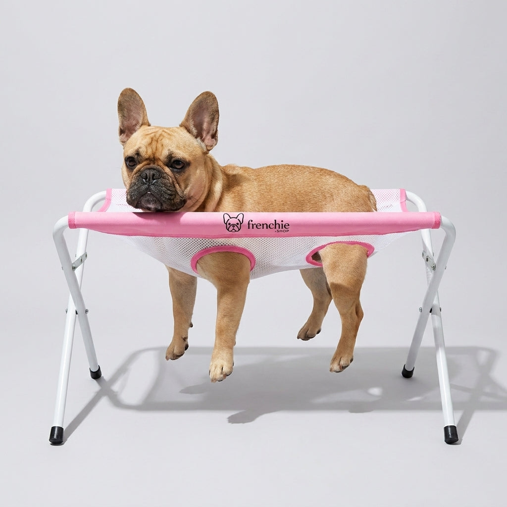 BathPaw-French-Bulldog-Bath-Stand.jpg