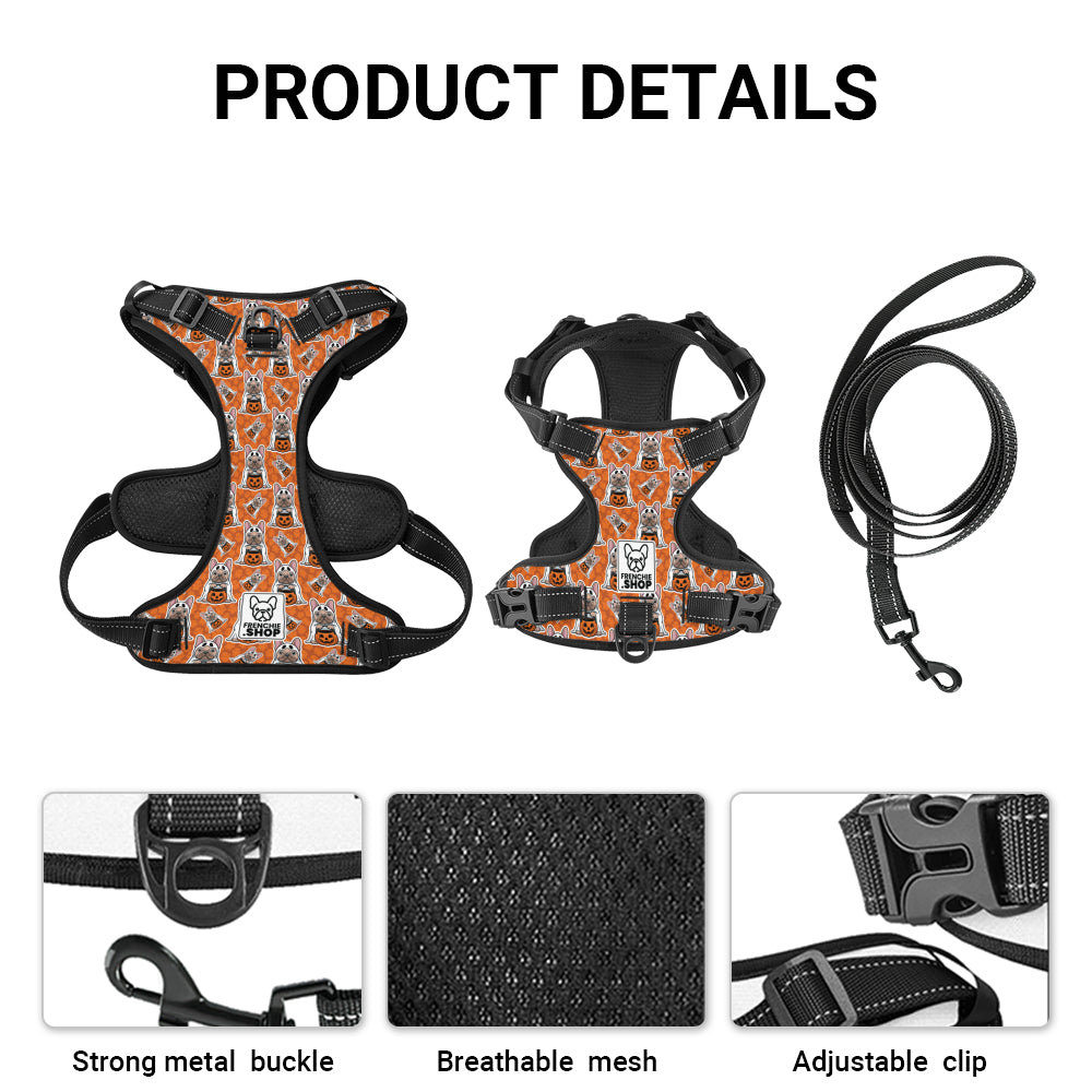 Beau No-Pull Dog Harness product details