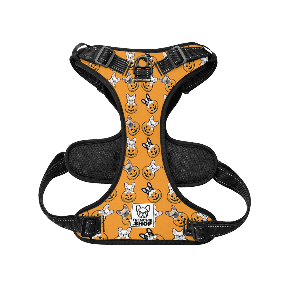 Bentley No-Pull Frenchies Harness