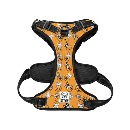 Bentley No-Pull Frenchies Harness