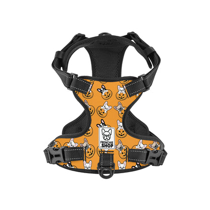 Bentley No-Pull frenchie dog Harness