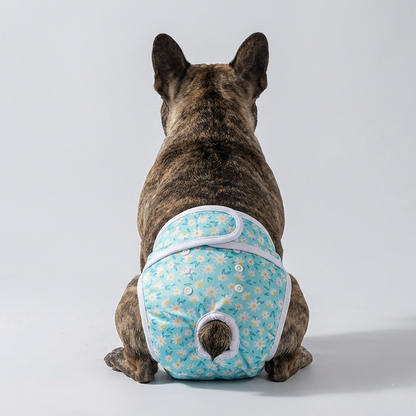 BloomPaw-Frenchie-Diaper.jpg