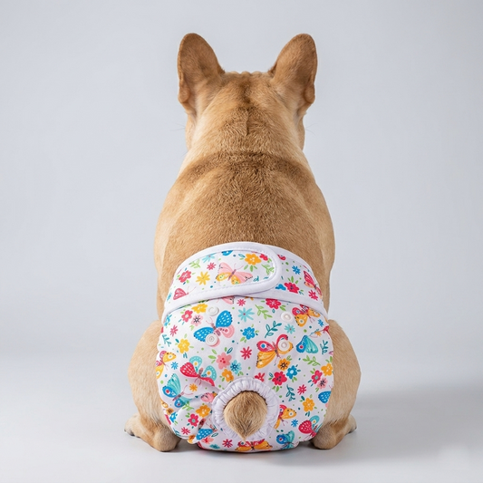 BloomPaw-Frenchie-Diaper.jpg