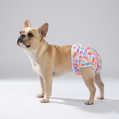 BloomPaw-Frenchie-Diaper.jpg