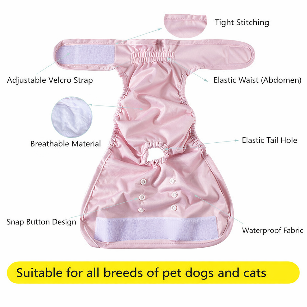 BloomPaw-Frenchie-Diaper.jpg