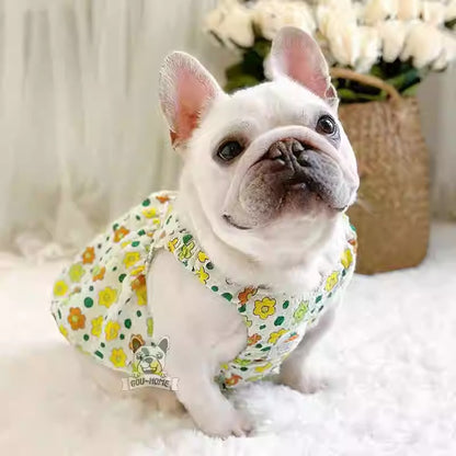 BloomPup-Frenchie-Summer-Dress.jpg